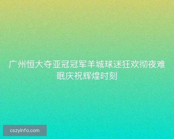 广州恒大夺亚冠冠军羊城球迷狂欢彻夜难眠庆祝辉煌时刻