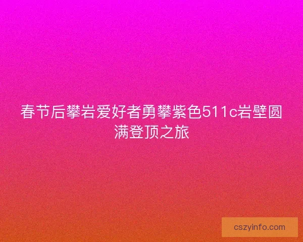 春节后攀岩爱好者勇攀紫色511c岩壁圆满登顶之旅