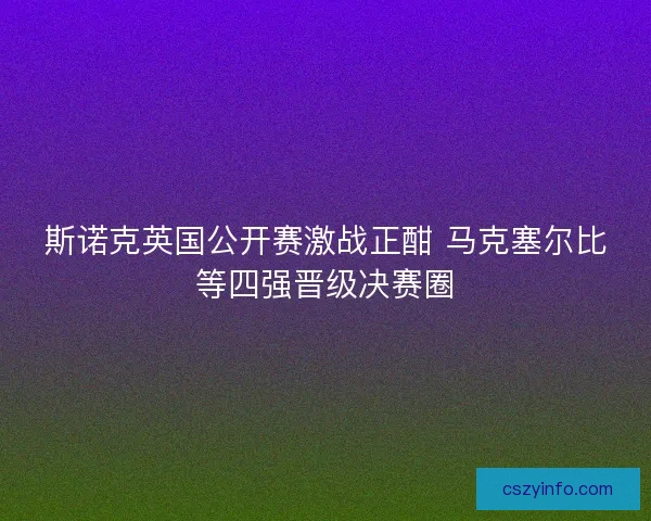斯诺克英国公开赛激战正酣 马克塞尔比等四强晋级决赛圈 斯诺克英国公开赛激战正酣 马克塞尔比等四强晋级决赛圈